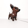 Chiwi lamp