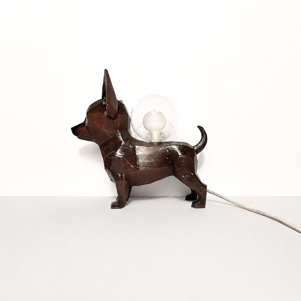 Chiwi lamp