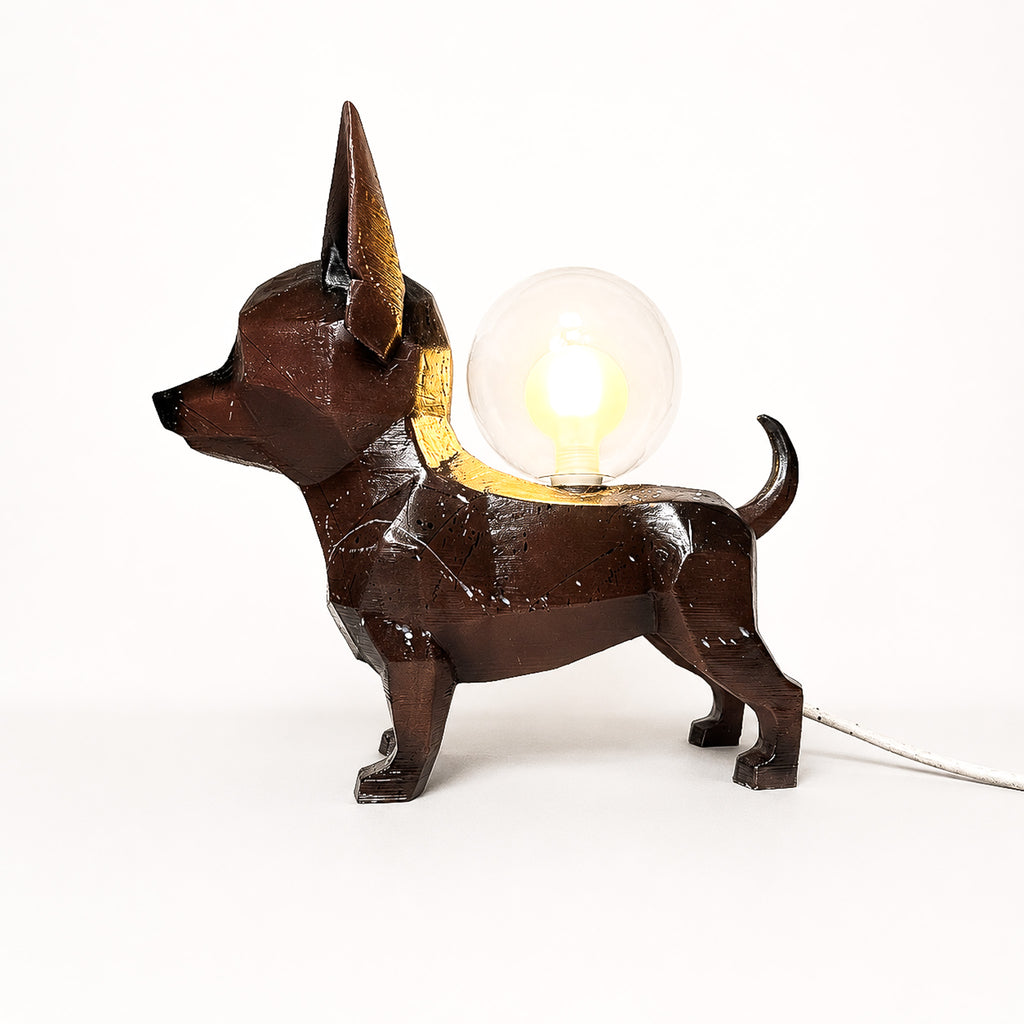 Chiwi lamp