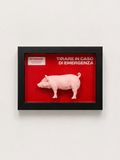 Pull in case of emergency - Pig edition